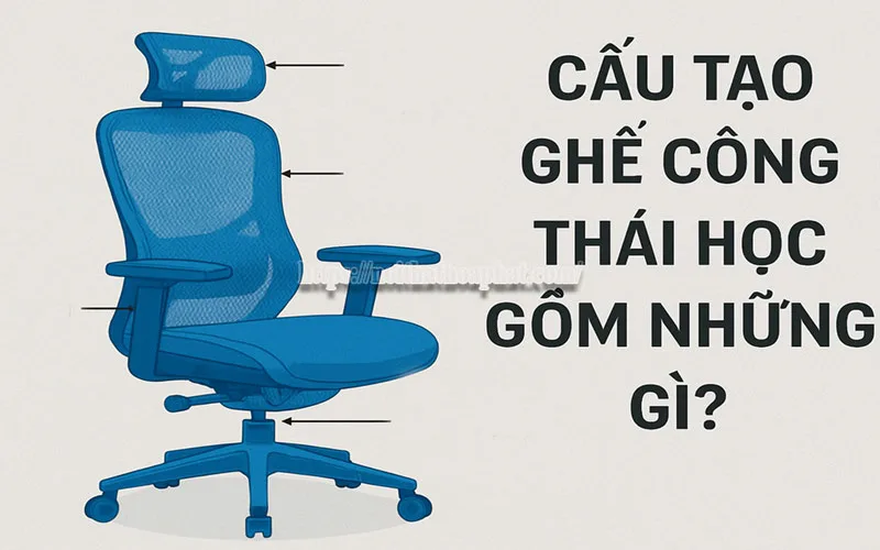 ghe cong thai hoc la gi xu huong noi that bao ve suc khoe dan van phong